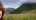 Abstract shot of nature and blurred man too close to the camera